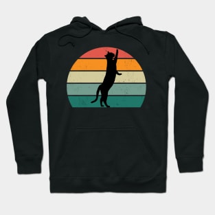 Black Cat Sunset Hoodie